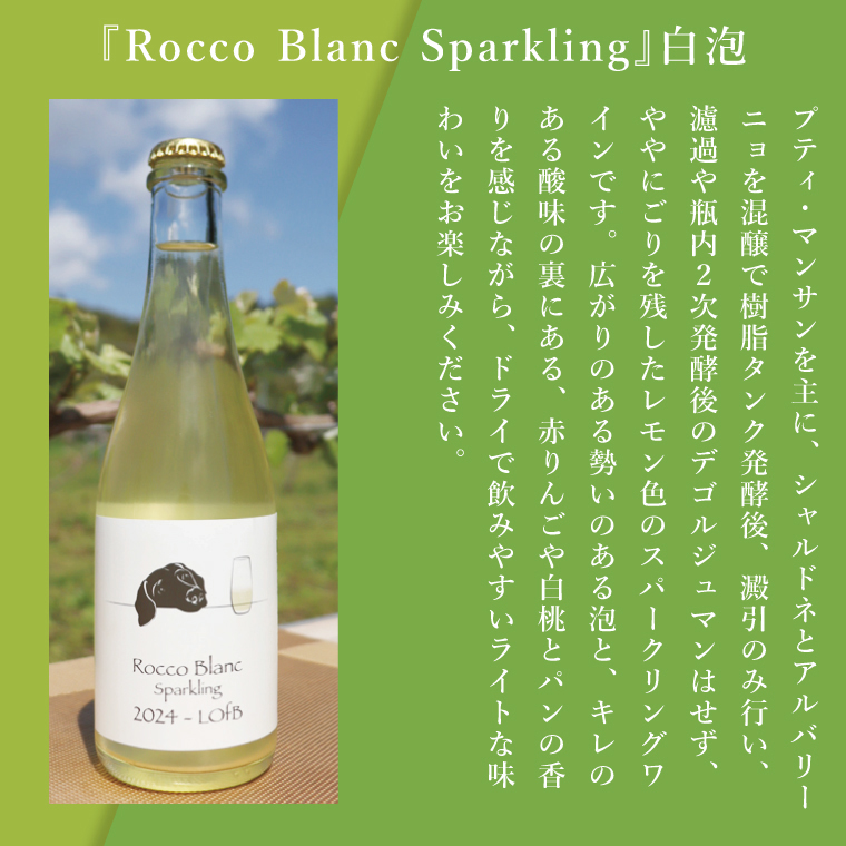 3種の2024ものハーフボトルセット～行方市内の自社畑ぶどう（2024年収穫）で醸造したワイン～｜ワイン  ボトルワイン 酒 お酒 酒類 赤ワイン スパークリングワイン ボトル ぶどう セット ワインセット 茨城県 行方市(GQ-8)