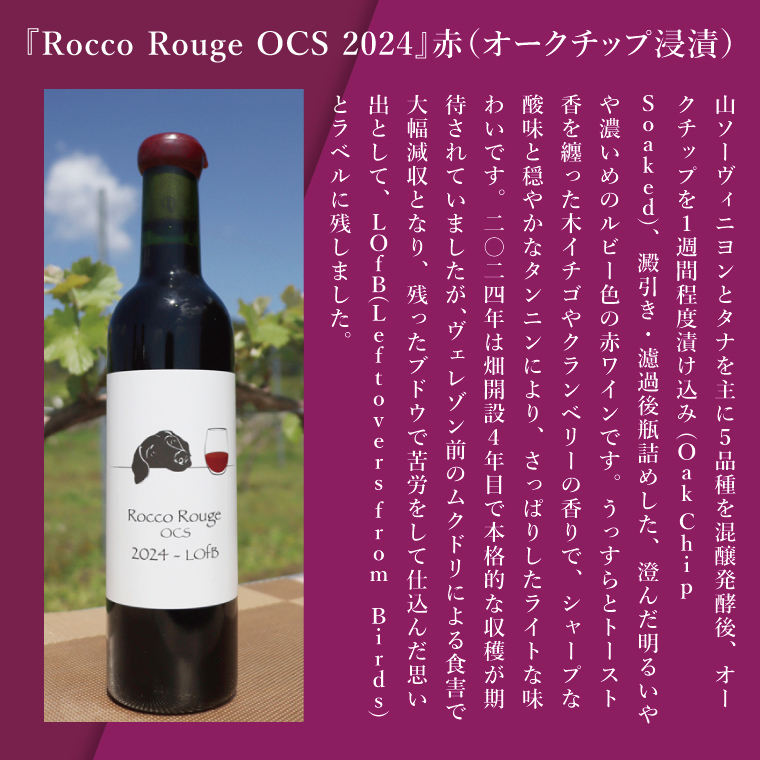 3種の2024ものハーフボトルセット～行方市内の自社畑ぶどう（2024年収穫）で醸造したワイン～｜ワイン  ボトルワイン 酒 お酒 酒類 赤ワイン スパークリングワイン ボトル ぶどう セット ワインセット 茨城県 行方市(GQ-8)