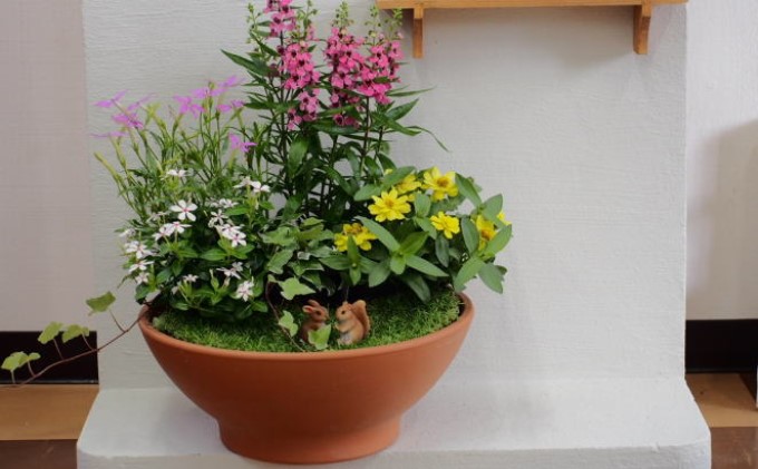 花 寄せ植え 季節のお花 ガーデン風 お任せ動物フィギア付き 植物 インテリア ガーデン 
