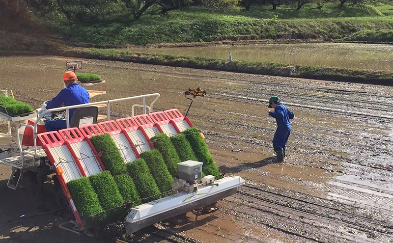 令和7年産 新米 宮城県大河原町産 ひとめぼれ 5kg×2袋 米 お米 精米 白米 こめ コメ 令和7年 宮城県産
