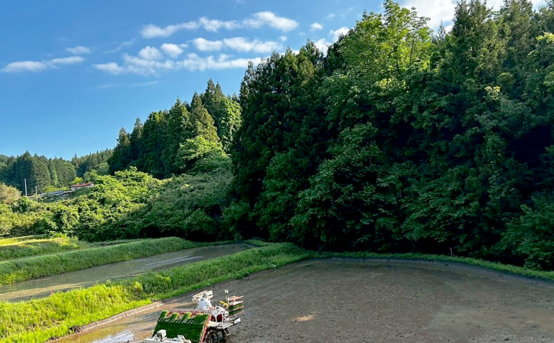 令和7年産 新米 宮城県大河原町産 ひとめぼれ 5kg×2袋 米 お米 精米 白米 こめ コメ 令和7年 宮城県産