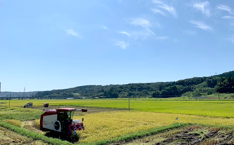 令和7年産 新米 宮城県大河原町産 ひとめぼれ 5kg×2袋 米 お米 精米 白米 こめ コメ 令和7年 宮城県産