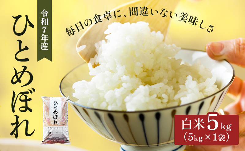 令和7年産 新米 宮城県大河原町産 ひとめぼれ 5kg 米 お米 精米 白米 こめ コメ 令和7年 宮城県産
