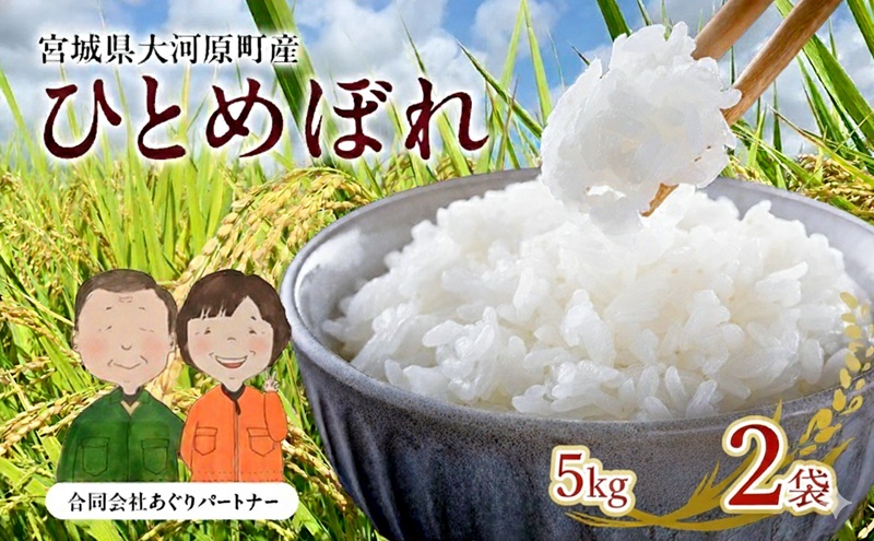 令和7年産 新米 宮城県大河原町産 ひとめぼれ 5kg×2袋 米 お米 精米 白米 こめ コメ 令和7年 宮城県産