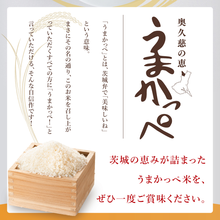 【5ヶ月定期便】奥久慈の恵 うまかっぺ米 5kg｜茨城県 大子町 お米 白米 精米 ブランド米 銘柄米 食味値  定期 回数（AH006-2）