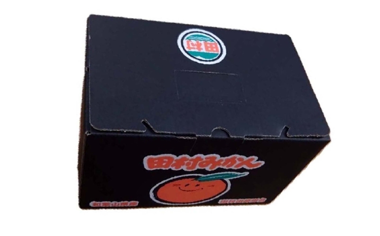 【有田のブランドみかん】田村みかん 約3kg (S.M.Lサイズおまかせ・秀品)