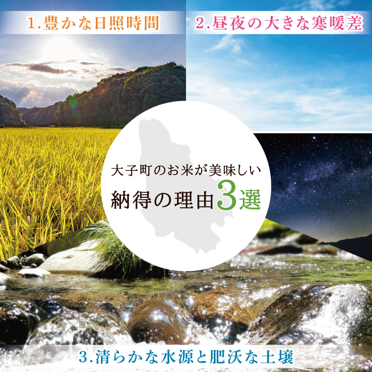 令和7年産常陸農協の大子町産コシヒカリ10kg｜茨城県 大子町 お米 白米 精米 こしひかり ふっくら もっちり コンテスト受賞（AH003-2）