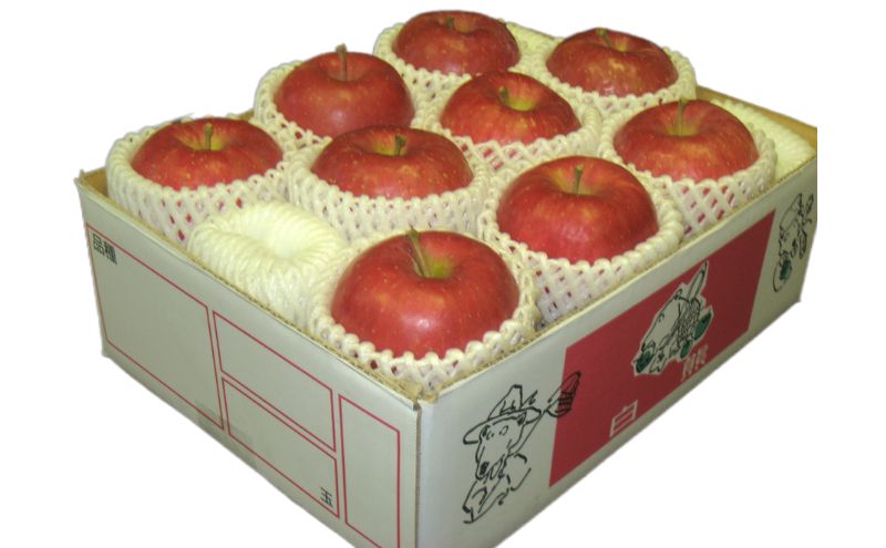 【クール便】4月発送 白熊 特選 サンふじ 絆 約3kg 糖度13度【青森りんご・ 果物 フルーツ 食後 デザート シャキシャキ ジューシー りんごの王様 】