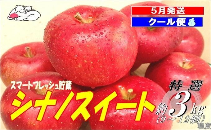 yXߓczy5N[ցzF pVimXC[g3kg X}[gtbV x13xyX ʕ t[c ʕ fU[g H  X̂ z