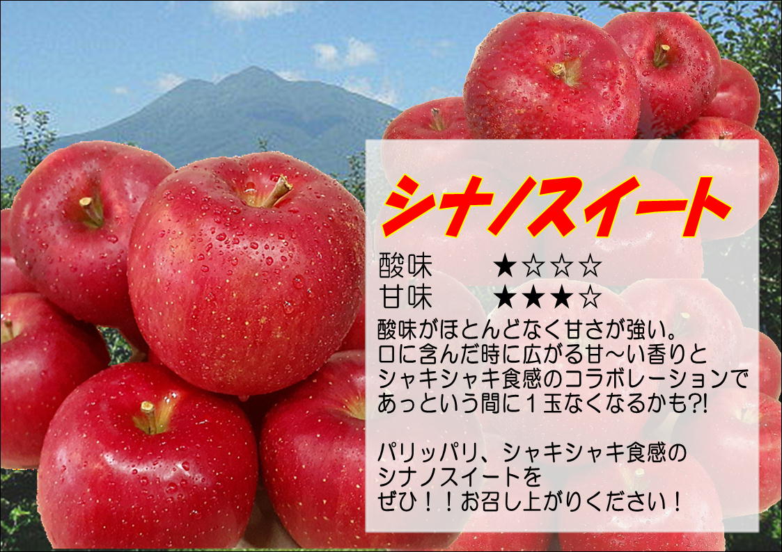 【5月発送クール便】白熊 贈答用シナノスイート約3kg スマートフレッシュ 糖度13度【青森りんご 果物 フルーツ 果物類 デザート 食後 おやつ 青森のりんご 】