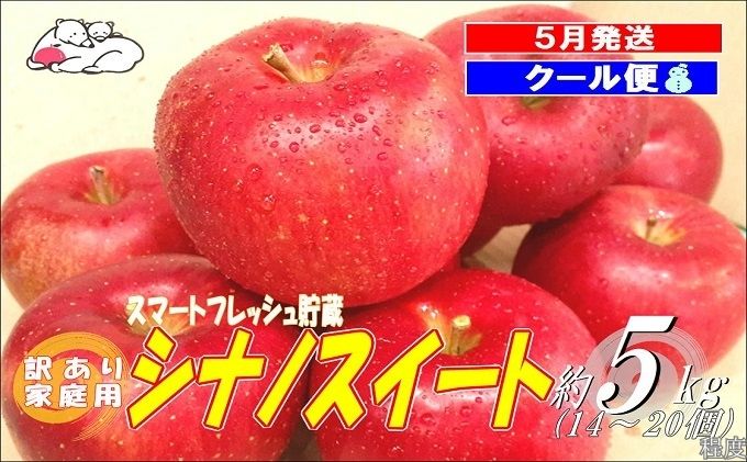 yXߓczy5N[ցz F AƒpVimXC[g 5kg X}[gtbV x13xyX ʕ t[c ʕ fU[g H  X̂ z