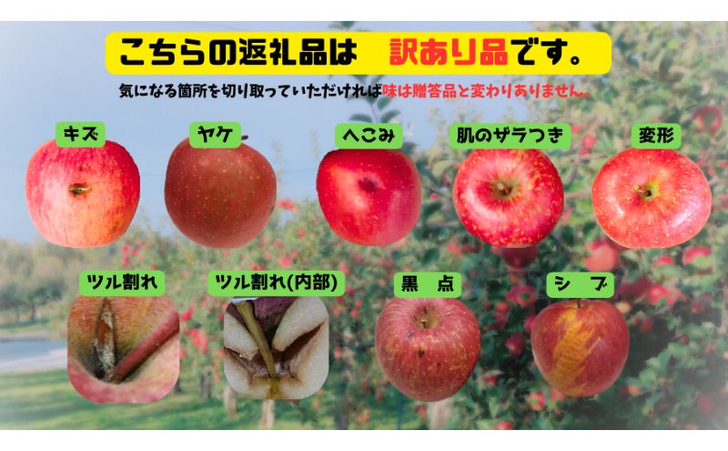 【1月発送】白熊 訳あり家庭用 サンふじ 約5kg 糖度13度【青森りんご 果物 フルーツ 食後 デザート シャキシャキ ジューシー りんごの王様 】