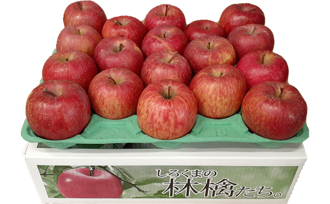 【クール便】4月発送 白熊 訳あり家庭用 サンふじ 約5kg 糖度13度【青森りんご・ 果物 フルーツ 食後 デザート シャキシャキ ジューシー りんごの王様 】
