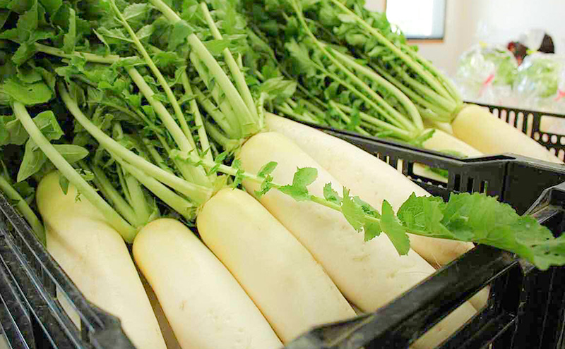 おいしかぁ～便 詰め合わせセット（1～2人暮らし向け）コンパクト  野菜 やさい 米 新鮮 新鮮野菜 家庭用 新鮮 福岡県 大刀洗町