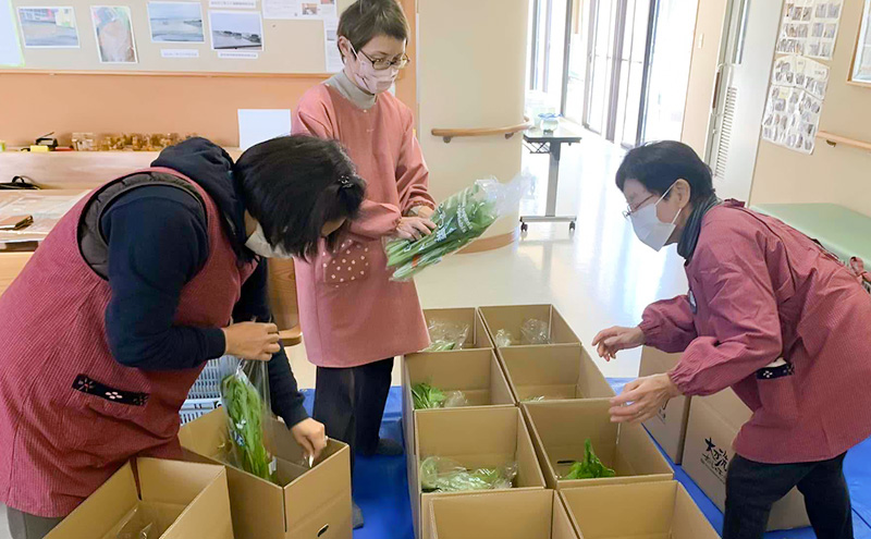 おいしかぁ～便 詰め合わせセット（1～2人暮らし向け）コンパクト  野菜 やさい 米 新鮮 新鮮野菜 家庭用 新鮮 福岡県 大刀洗町