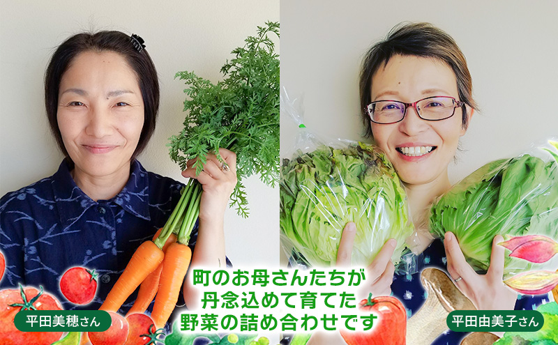 おいしかぁ～便 詰め合わせセット ファミリーセット 家族用 野菜 やさい 米 新鮮 新鮮野菜 家庭用 新鮮 福岡県 大刀洗町 