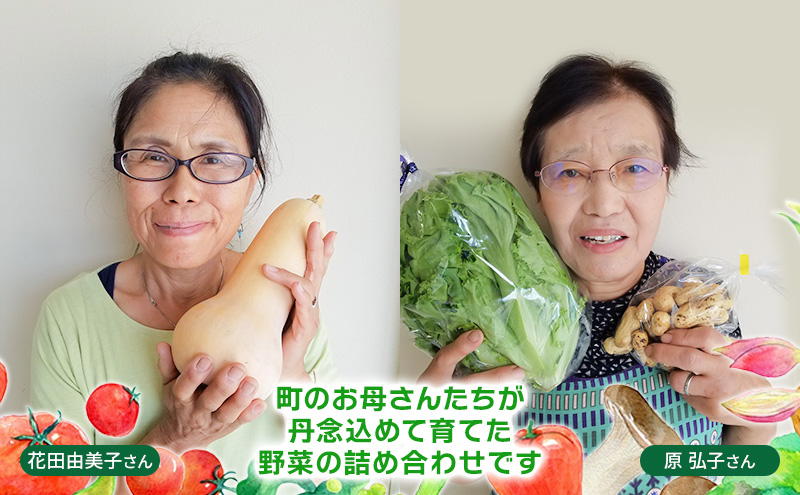 【定期便 年3回】おいしかぁ～便 詰め合わせセット 3ヶ月 お楽しみ ファミリーセット 家族用 野菜 やさい 米 新鮮 新鮮野菜 家庭用 新鮮 福岡県 大刀洗町