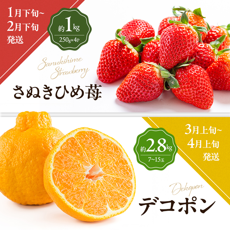 讃岐のフルーツ6回定期便【B】【さぬきひめ苺】【デコポン】【なつたより(びわ)】【桃】【さぬきゴールドキウイ】【小原紅(さぬき紅みかん)】