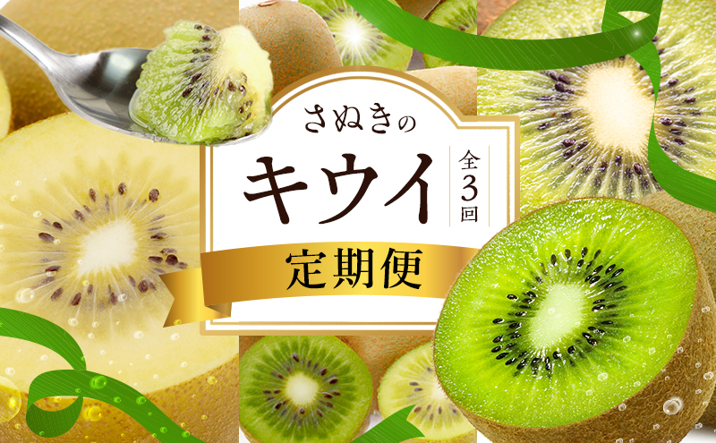 y쌧szʂ̃LECցi3jyʂS[hLECzyʂLEC zy΃LECz