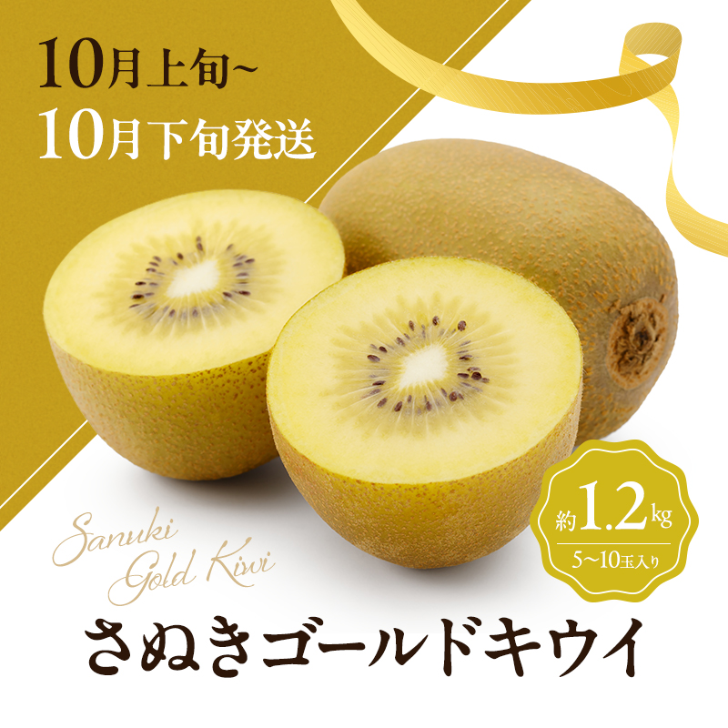 讃岐のキウイ定期便（全3回）【さぬきゴールドキウイ】【さぬきキウイっこ 】【香緑キウイ】