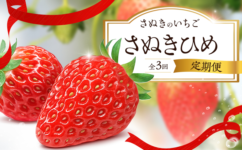【香川県東かがわ市】さぬきのいちご「さぬきひめ」単体の定期便(3回)