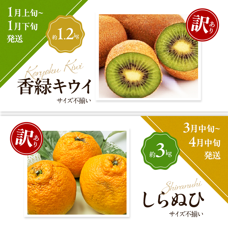 讃岐の訳ありフルーツ定期便（全8回）