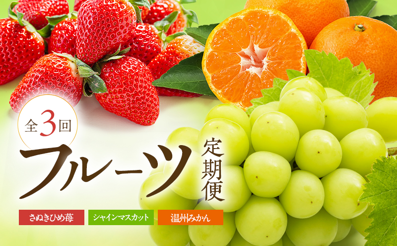 数量限定！讃岐のフルーツ定期便（全3回）【さぬきひめ苺】【温室シャインマスカット 】【温州みかん】