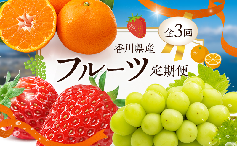 【香川県東かがわ市】フルーツ定期便(3回)【さぬきひめ苺】【温室シャインマスカット 】【温州みかん】