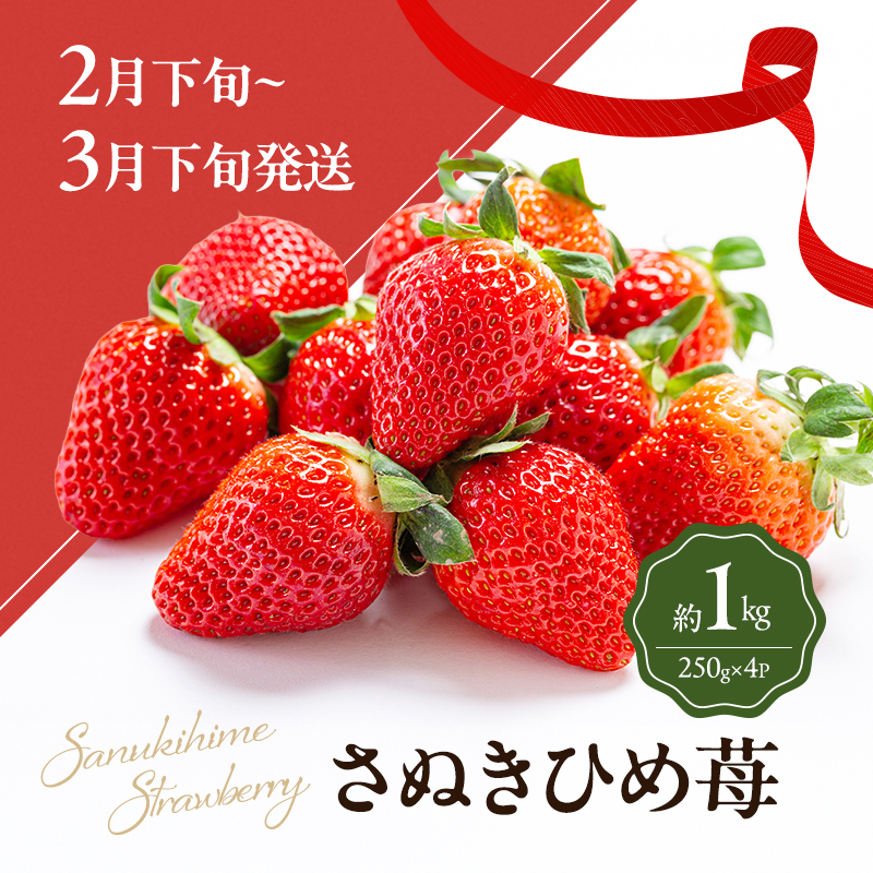 数量限定！讃岐のフルーツ定期便（全3回）【さぬきひめ苺】【温室シャインマスカット 】【温州みかん】