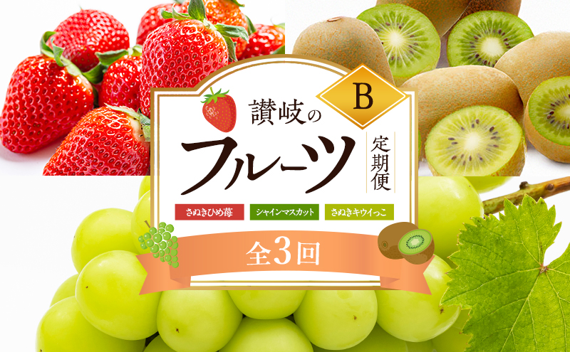 y쌧szy2A8A11 z]̃t[c B i3jyʂЂ䕁zyVC}XJbgzyʂLECz