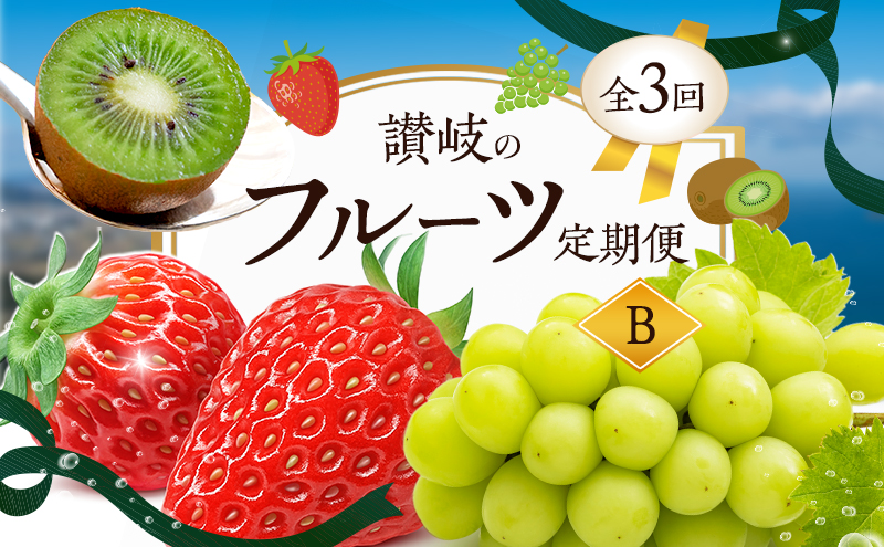 【香川県東かがわ市】【2月、8月、11月 発送】讃岐のフルーツ定期便 B (3回)【さぬきひめ苺】【シャインマスカット】【さぬきキウイっこ】