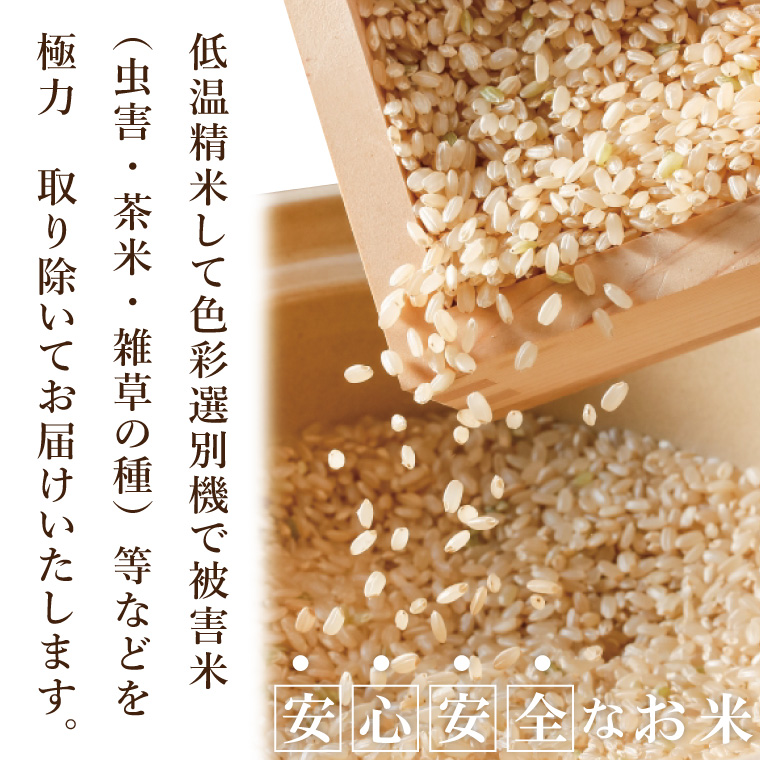 【数量限定】R7年産取手市産コシヒカリ 精米5kg|お米 米 こしひかり コシヒカリ 新米 白米 茨城県 取手市（BS001）