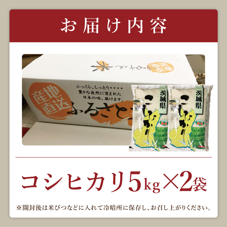 【数量限定】R7年産取手市産コシヒカリ 精米10kg（5kg×2袋）|お米 米 こしひかり コシヒカリ 新米 白米 茨城県 取手市（BS002）