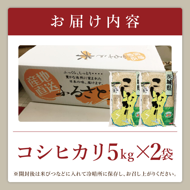 【数量限定】R7年産取手市産コシヒカリ 玄米10kg（5kg×2袋）|お米 米 こしひかり コシヒカリ 新米 玄米 茨城県 取手市（BS004）