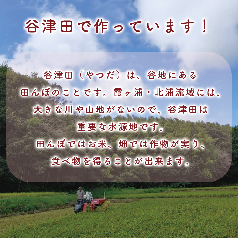 マンゲツモチの丸もち 250g×10袋｜もち 丸もち お餅 マンゲツモチ もち米 満月 菓子処坂本 茨城県 行方市(K-5-1)