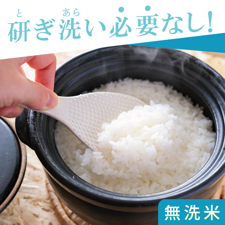 【数量限定】R7年産取手市産コシヒカリ 無洗米5kg|お米 米 こしひかり コシヒカリ 新米 白米 無洗米 茨城県 取手市（BS005）