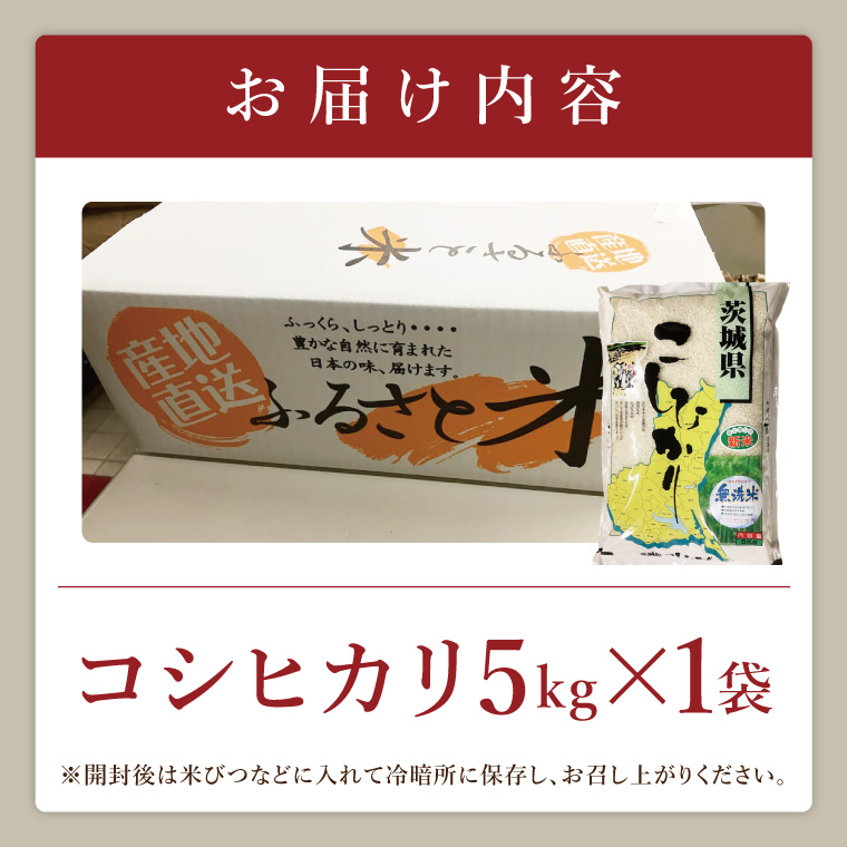 【数量限定】R7年産取手市産コシヒカリ 無洗米5kg|お米 米 こしひかり コシヒカリ 新米 白米 無洗米 茨城県 取手市（BS005）