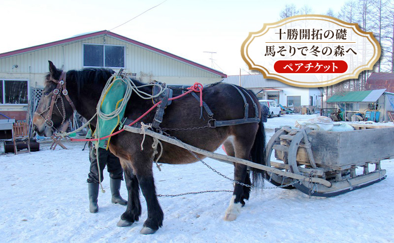 【北海道 十勝 幕別町 】十勝開拓の礎 馬そりで冬の森へ［ ペア チケット ］【 牧場 見学 ツアー 体験型 旅 旅行 イベント 冬休み 自由研究 移住 自然 放牧 ガイド 北海道 十勝 幕別 】