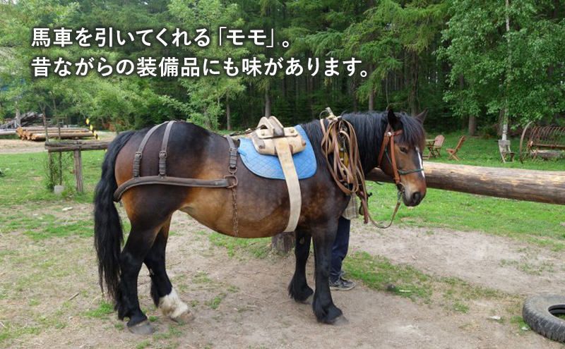 【北海道 十勝 幕別町 】十勝開拓の礎 牧草馬車にゆられて［ ペア チケット ］【 牧場 見学 ツアー 体験型 旅 旅行 イベント 夏休み 自由研究 移住 自然 放牧 ガイド 北海道 十勝 幕別 】