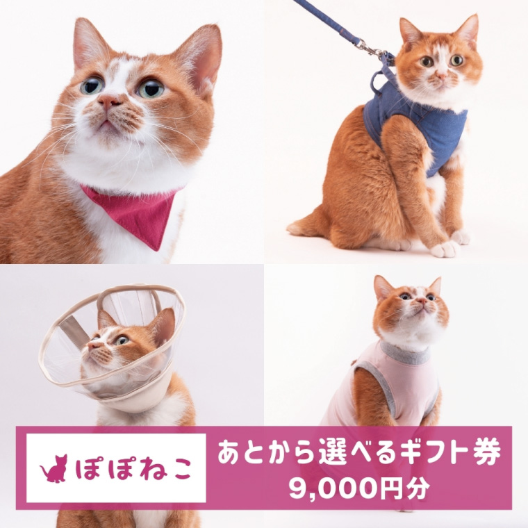 y錧szۂۂ˂MtgiE[^Cvj9,000~ICVbvŎgMtgybgpiLiBP002j