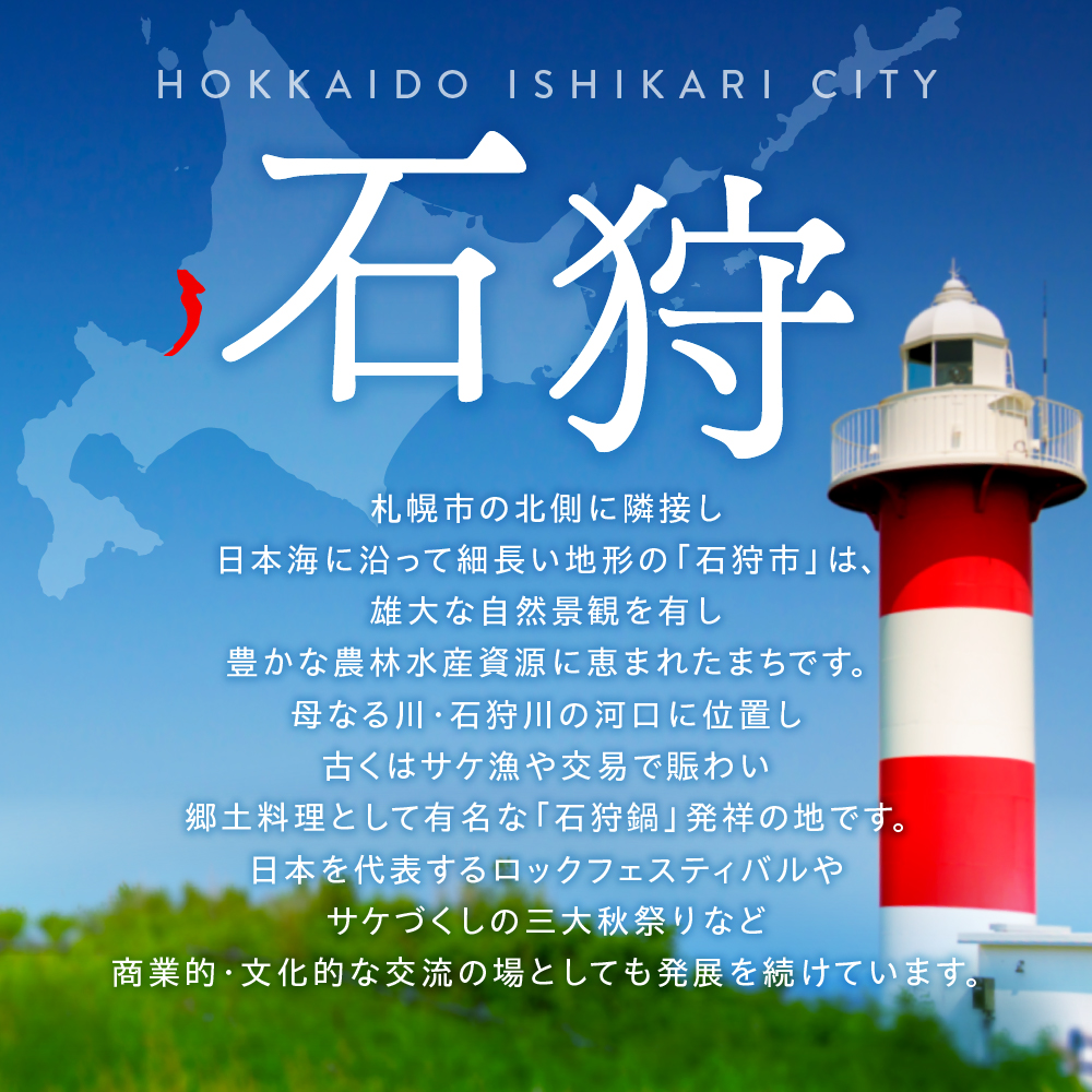 北海道石狩市のふるさと納税 【定期便】北海道産 ななつぼし 5kg 3回