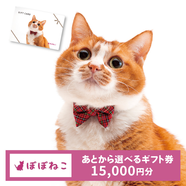 ぽぽねこギフト券（封筒タイプ）15,000円分オンラインショップで使えるギフト券ペット用品猫（BP006）