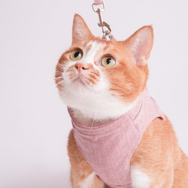 ぽぽねこ 猫に優しいベスト型ハーネス・リード付き（国産・オーガニックコットン・着せやすく脱げにくい）(BP010)
