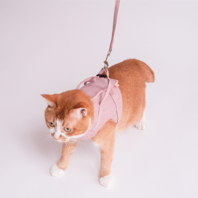 ぽぽねこ 猫に優しいベスト型ハーネス・リード付き（国産・オーガニックコットン・着せやすく脱げにくい）(BP010)