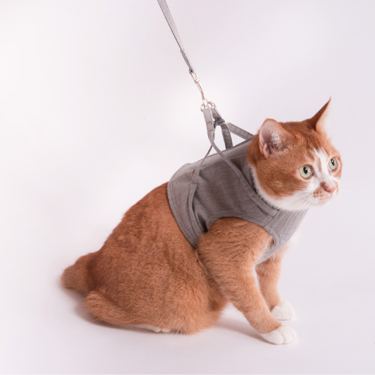 ぽぽねこ 猫に優しいベスト型ハーネス・リード付き（国産・オーガニックコットン・着せやすく脱げにくい）(BP010)