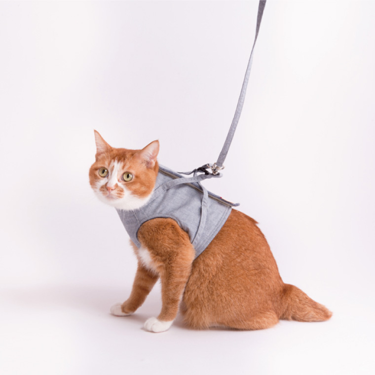 ぽぽねこ 猫に優しいベスト型ハーネス・リード付き（国産・オーガニックコットン・着せやすく脱げにくい）(BP010)