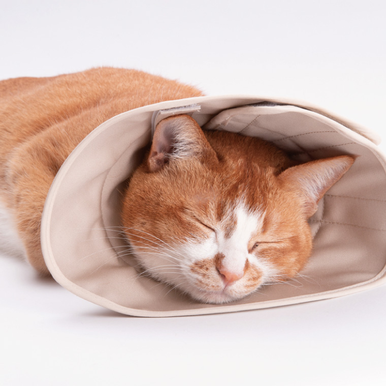 ぽぽねこ 軽くて柔らかい猫用エリザベスカラー 傷口が見えにくい・ソフト・軽量タイプ(BP013)