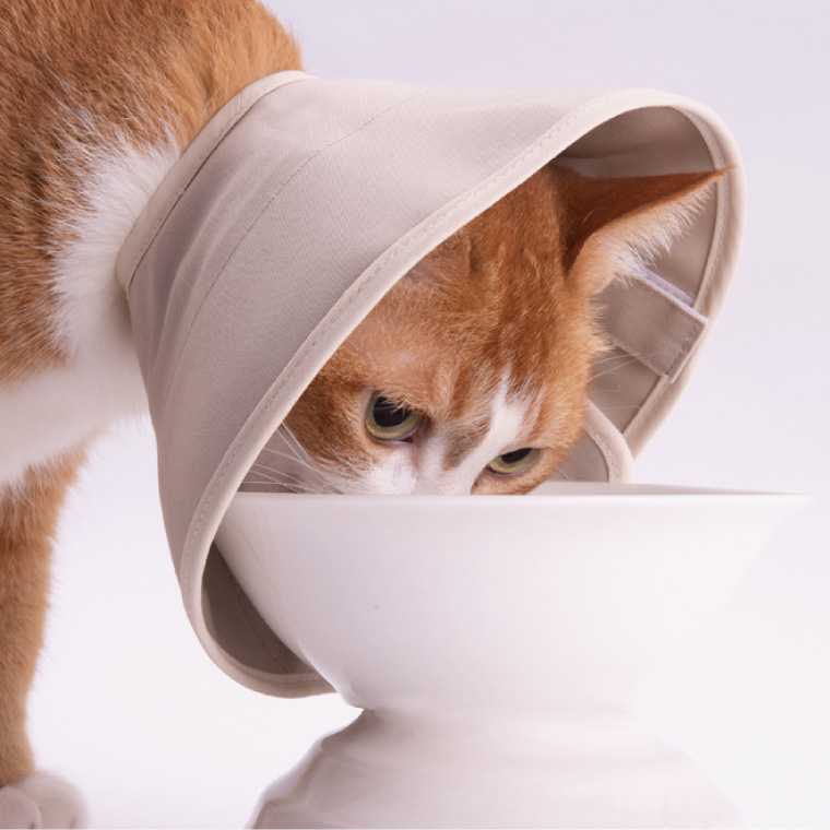 ぽぽねこ 軽くて柔らかい猫用エリザベスカラー 傷口が見えにくい・ソフト・軽量タイプ(BP013)