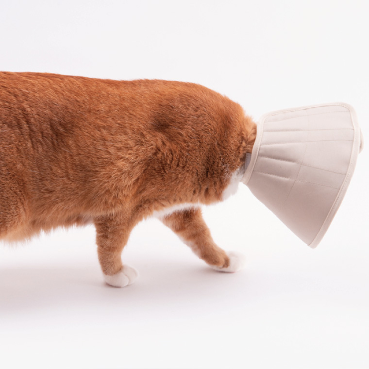 ぽぽねこ 軽くて柔らかい猫用エリザベスカラー 傷口が見えにくい・ソフト・軽量タイプ(BP013)