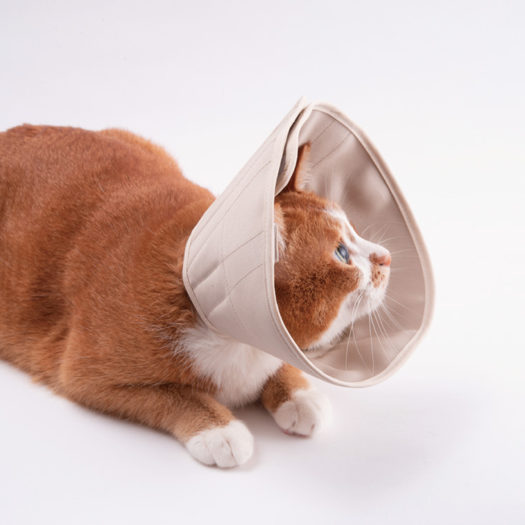 ぽぽねこ 軽くて柔らかい猫用エリザベスカラー 傷口が見えにくい・ソフト・軽量タイプ(BP013)